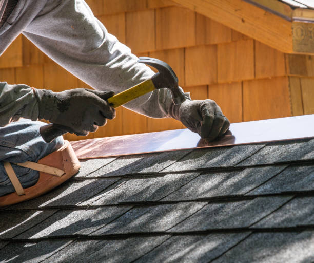Best Roof Gutter Cleaning  in Colusa, CA